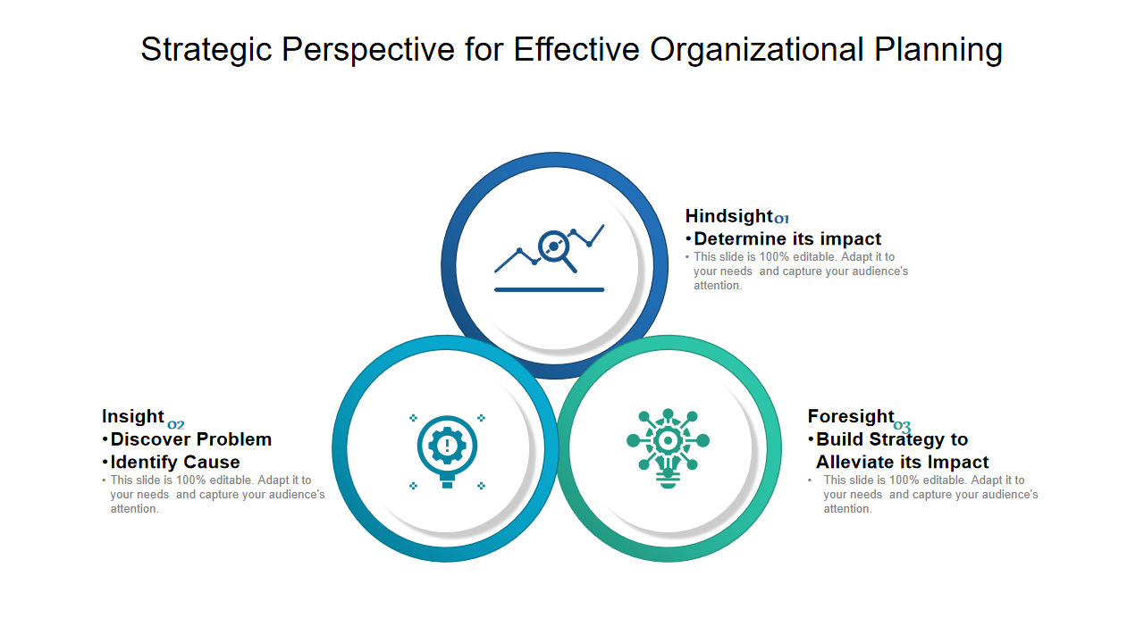 Strategic Perspective for Effective Organizational Planning