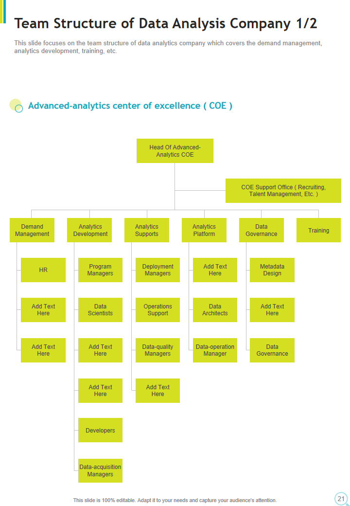 Team Structure of Data Analysis Company 1/2