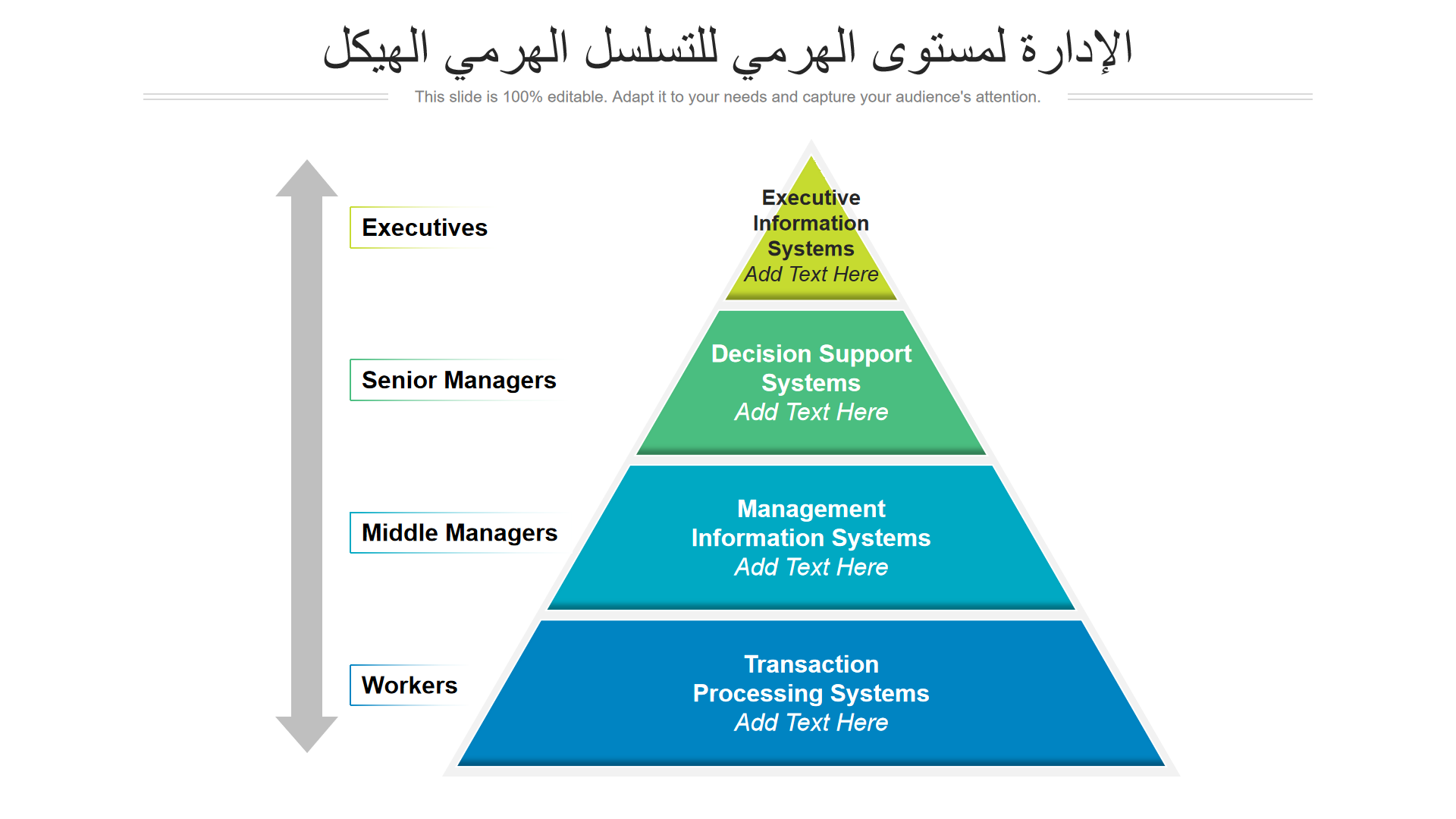 الهيكل الهرمي للتسلسل الهرمي لمستوى الإدارة الهيكل الهرمي للتسلسل الهرمي لمستوى الإدارة