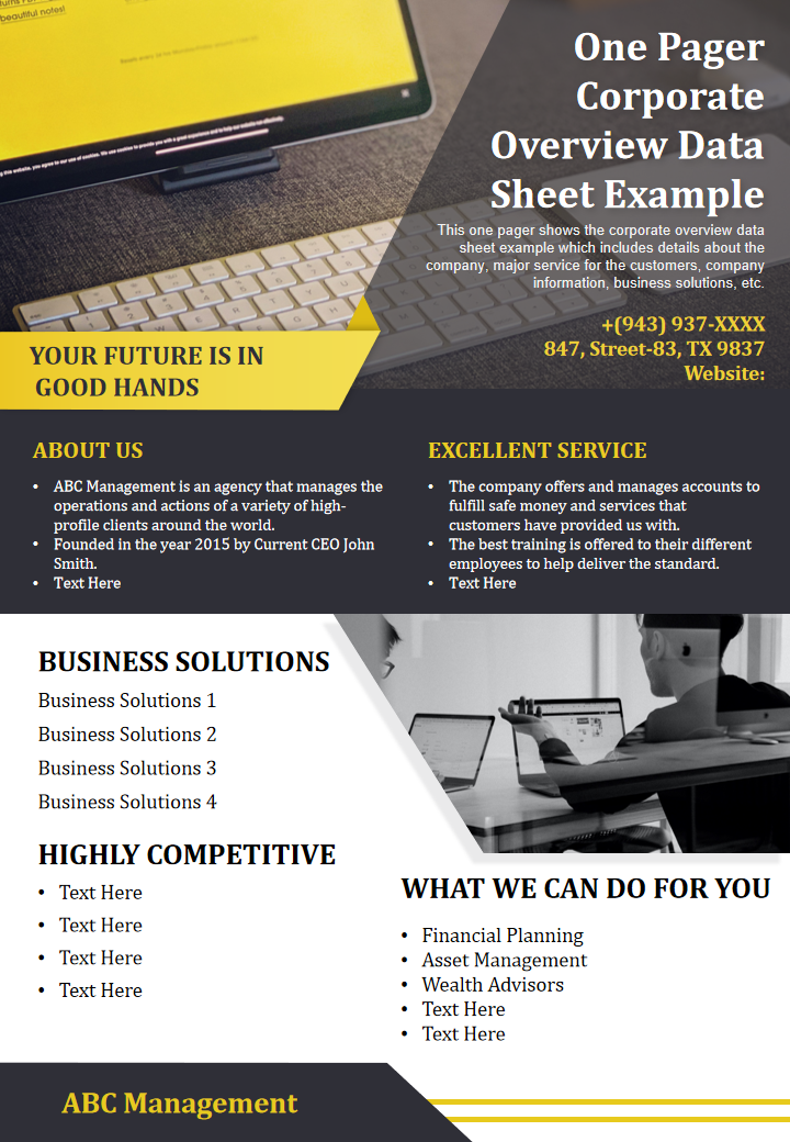 One Pager Corporate Overview Data Sheet Example