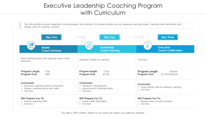 Executive leadership coaching program with curriculum