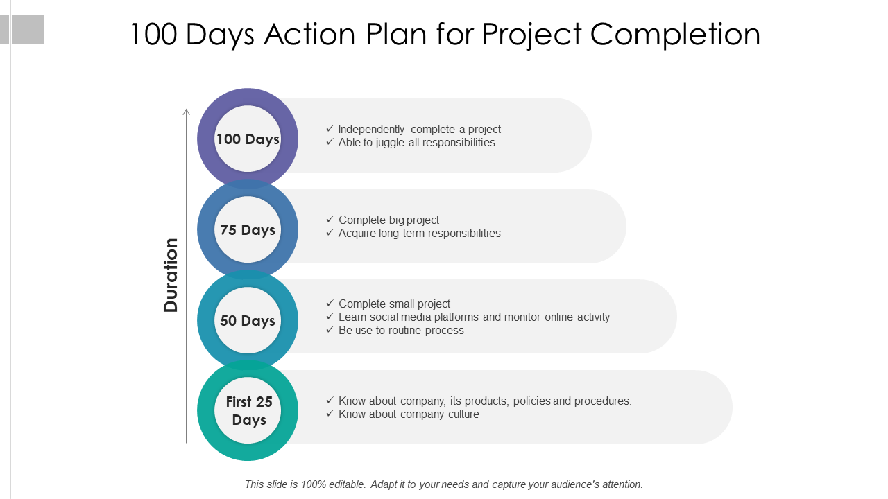 100 Days Action Plan for Project Completion
