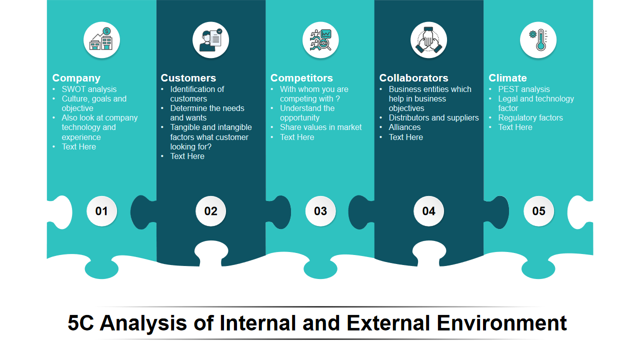 5C Analysis of Internal and External Environment
