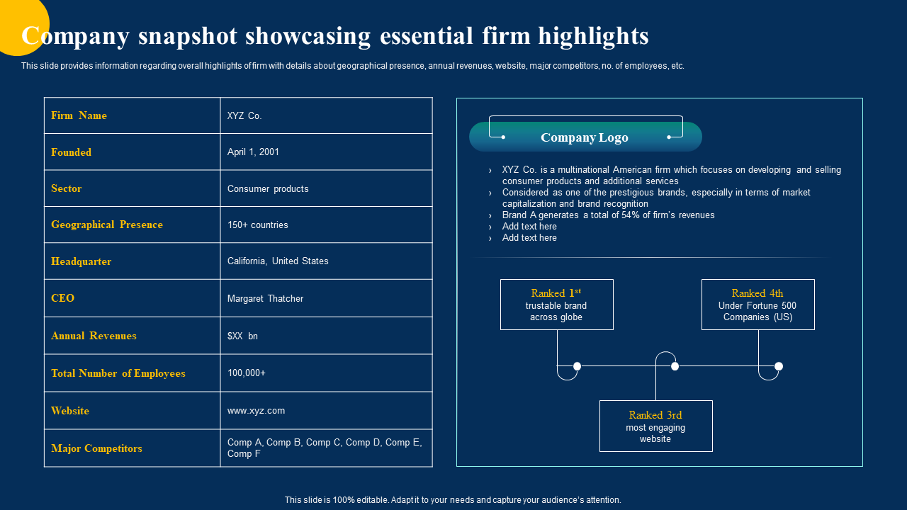 Company snapshot showcasing essential firm highlights