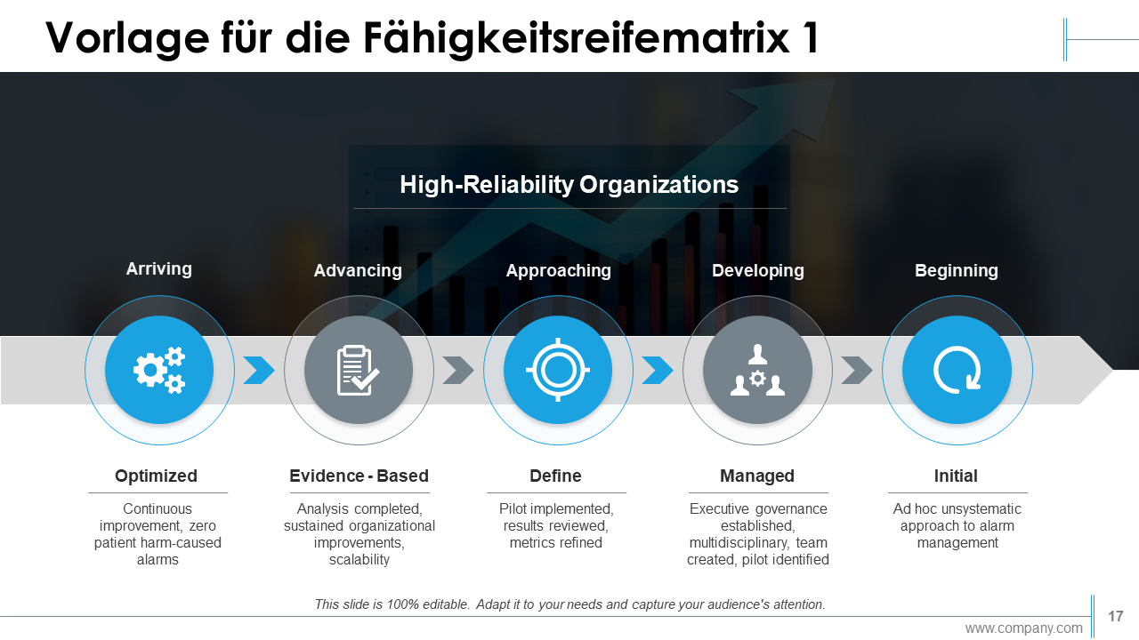 Vorlage für die Fähigkeitsreifematrix