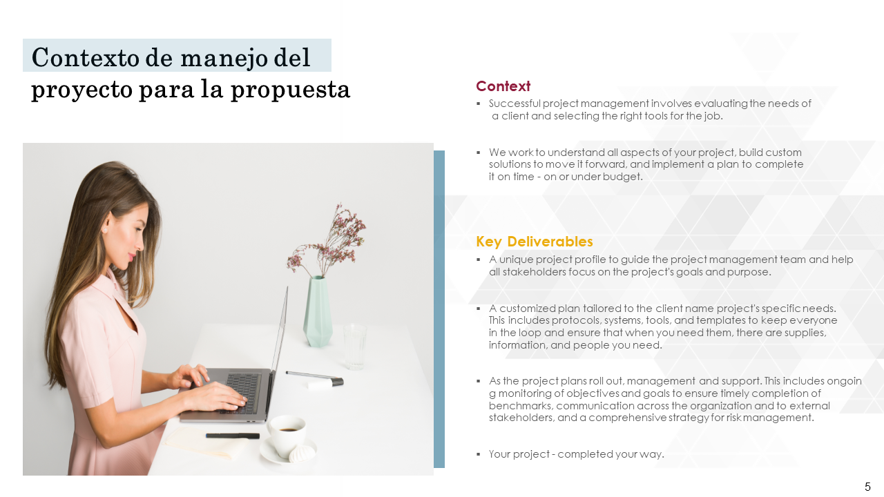 Contexto de manejo del proyecto para la propuesta