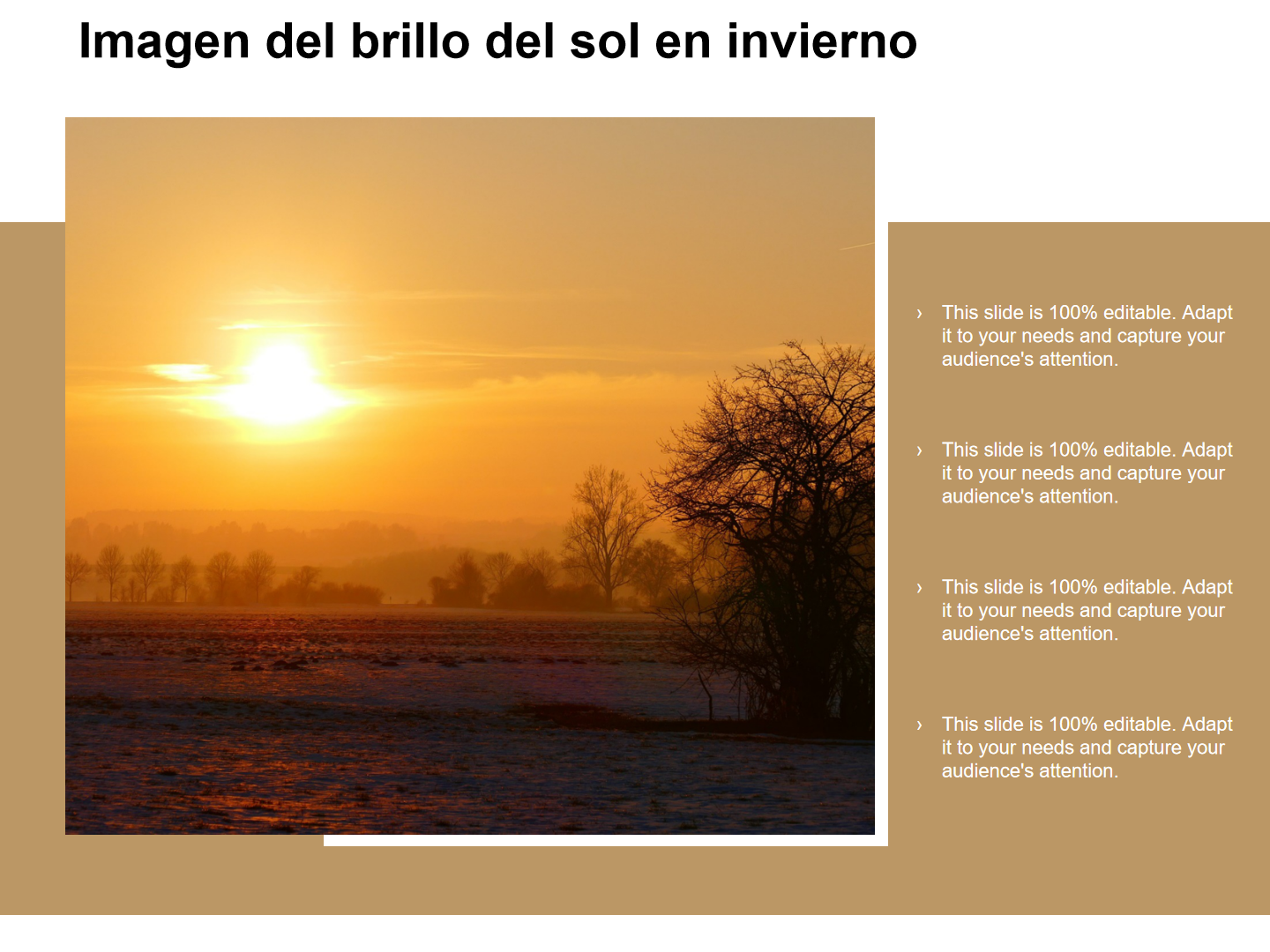Imagen del brillo del sol en invierno Imagen del brillo del sol en invierno