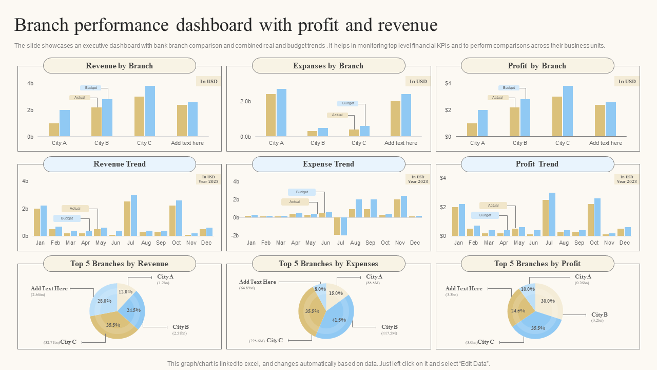 Branch performance dashboard with profit and revenue