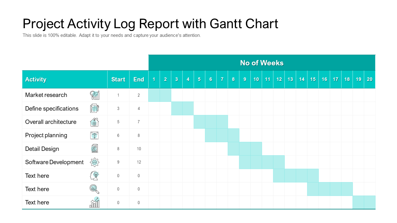 Project Activity Log Report with Gantt Chart