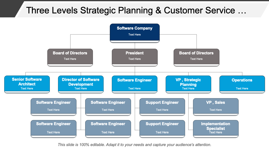 Three Levels Strategic Planning and Customer Service Software Org Chart