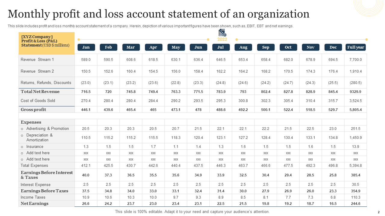 Monthly Profit and Loss Account Statement of an Organization