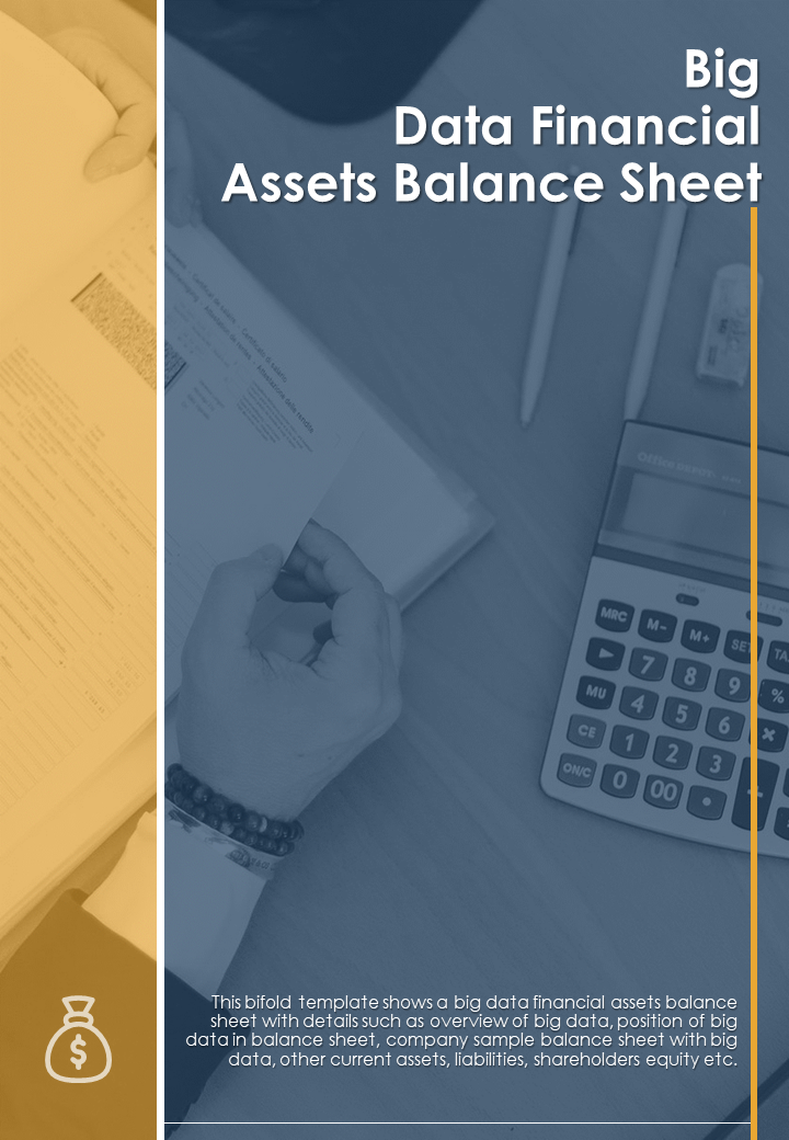Big Data Financial Assets Balance Sheet