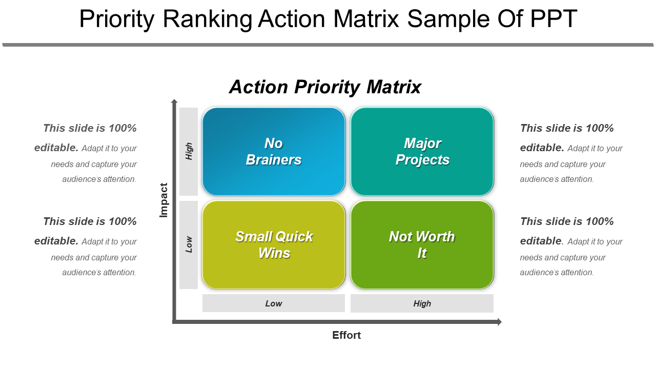 Priority Ranking Action Matrix Sample Of PPT