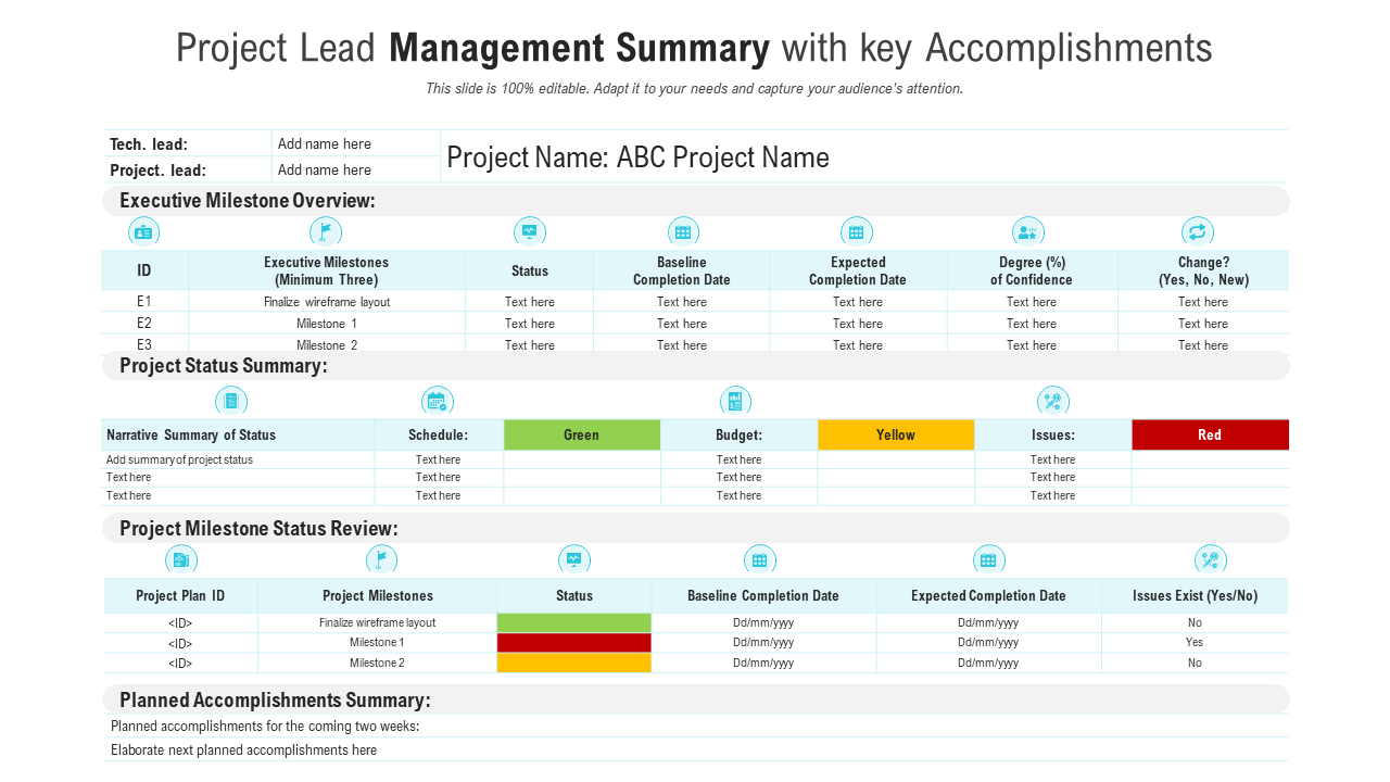 Project Lead Management Summary with key Accomplishments