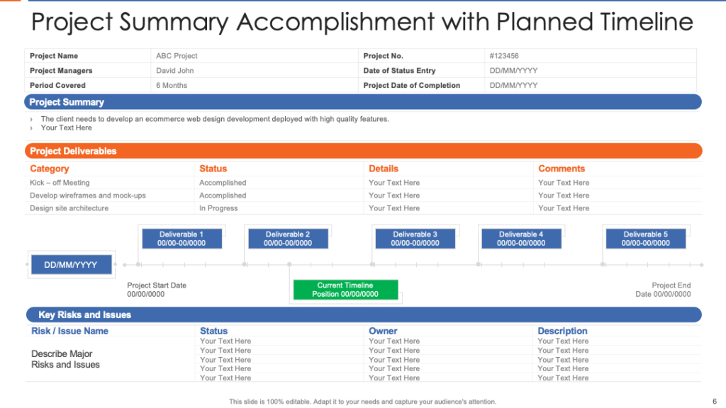 Project Summary with Planned Timeline PPT Report