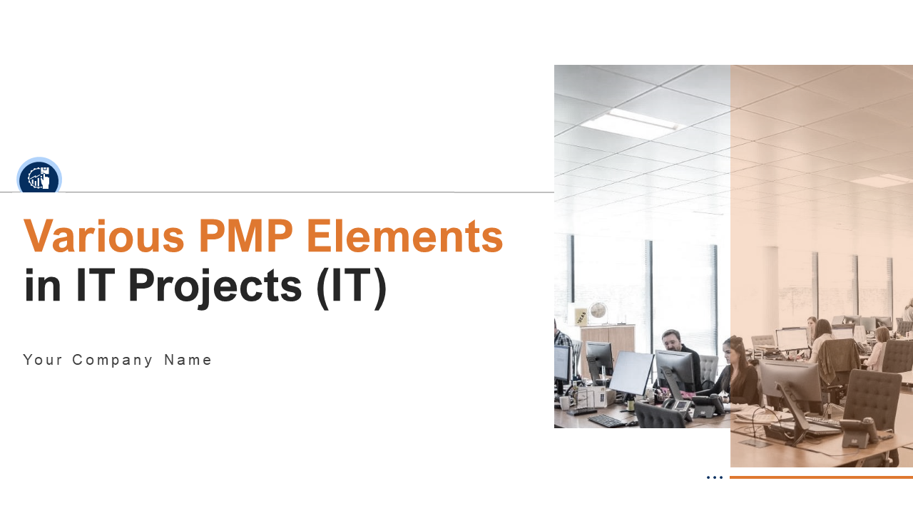 Various PMP Elements in IT Projects (IT)