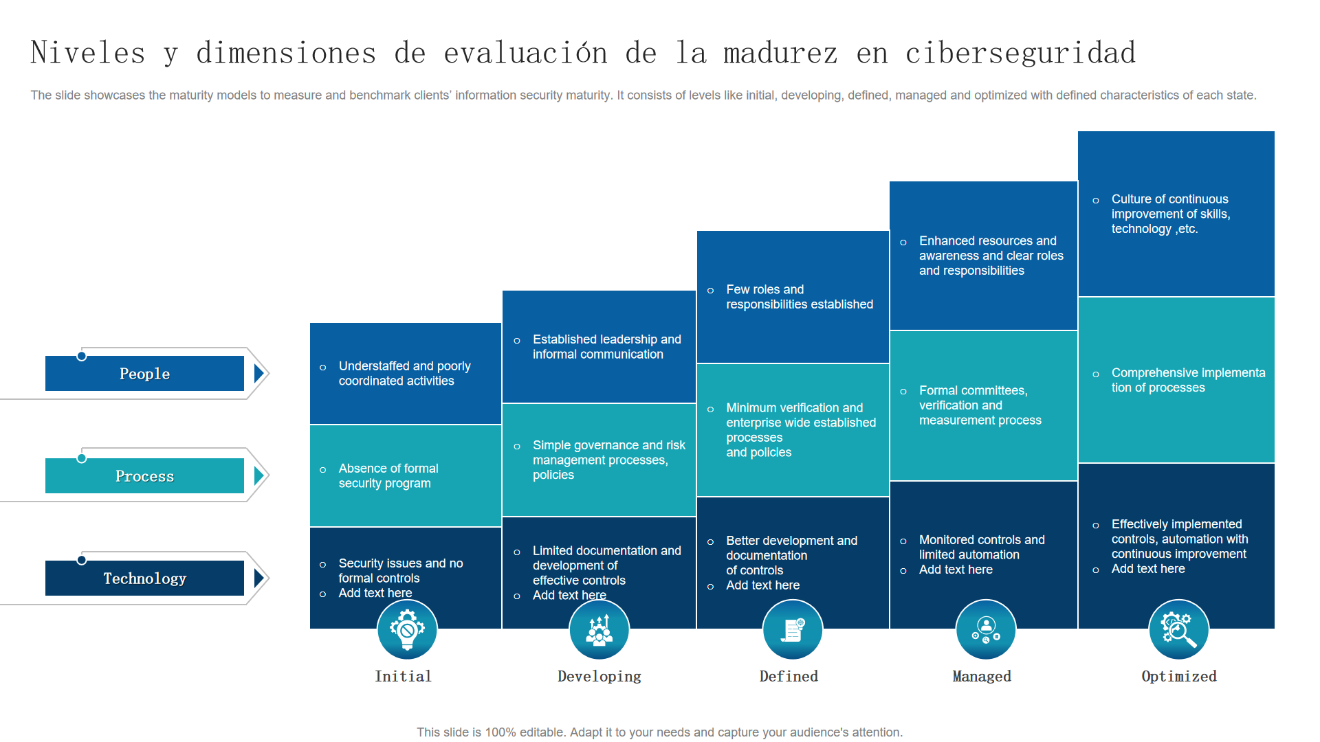  Niveles y dimensiones de evaluaci&oacute;n de la madurez en ciberseguridad