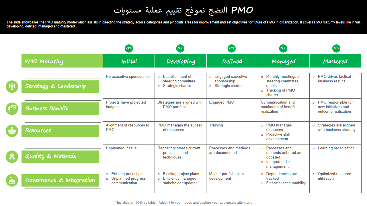  مستويات عملية تقييم نموذج النضج PMO