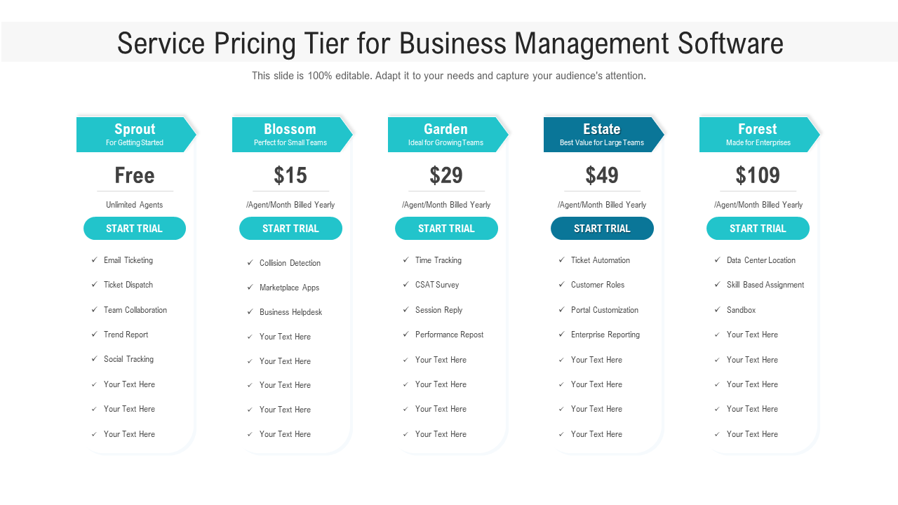 Service Pricing Tier for Business Management Software