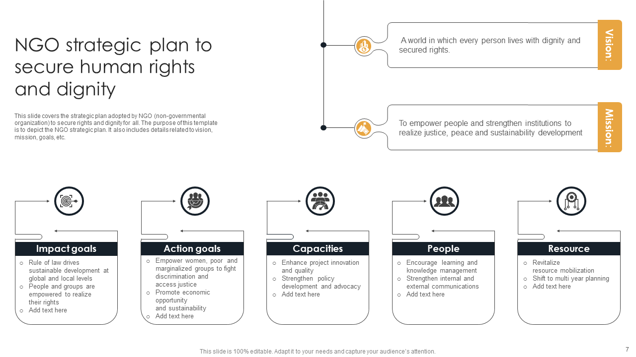 NGO Strategic Plan to Secure Human Rights and Dignity