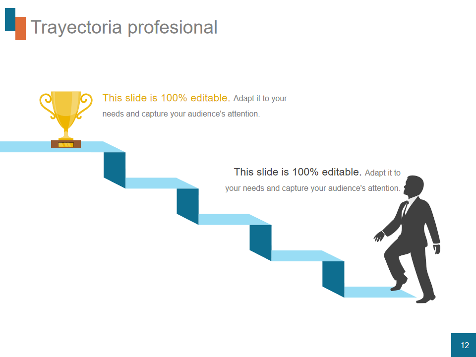Trayectoria profesional