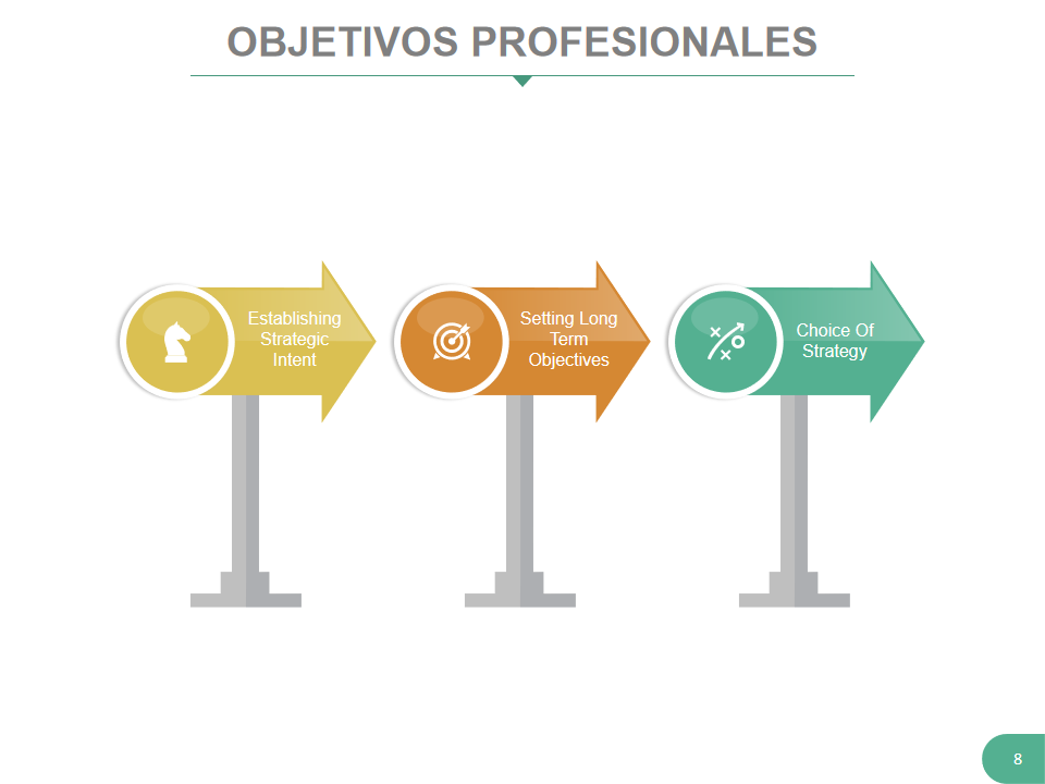 OBJETIVOS PROFESIONALES