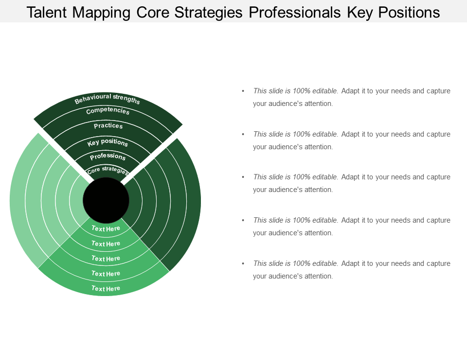 talent_mapping_core_strategies_professionals_key_positions talent_mapping_core_strategies_professionals_key_positions