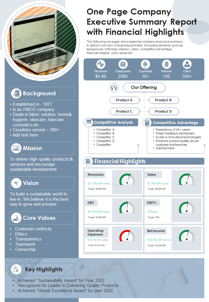 one_page_company_executive_summary_report_with_financial_highlights_presentation_report_infographic_pdf_document_slide_1