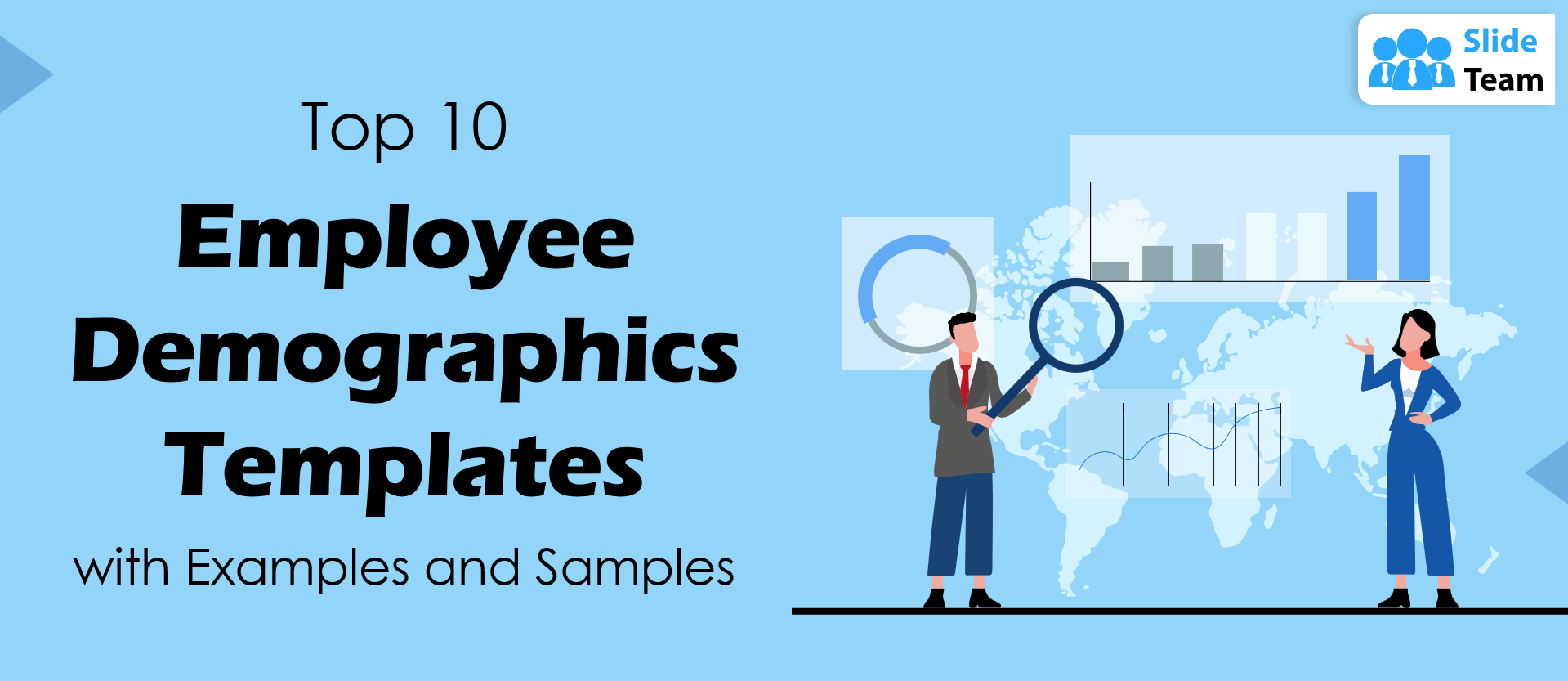 Top 10 Employee Demographics Templates with Examples and Samples