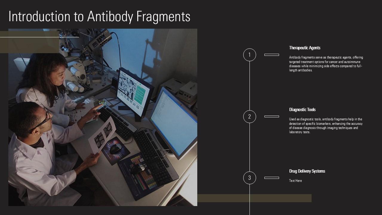 introduction to antiboy fragments introduction to antiboy fragments