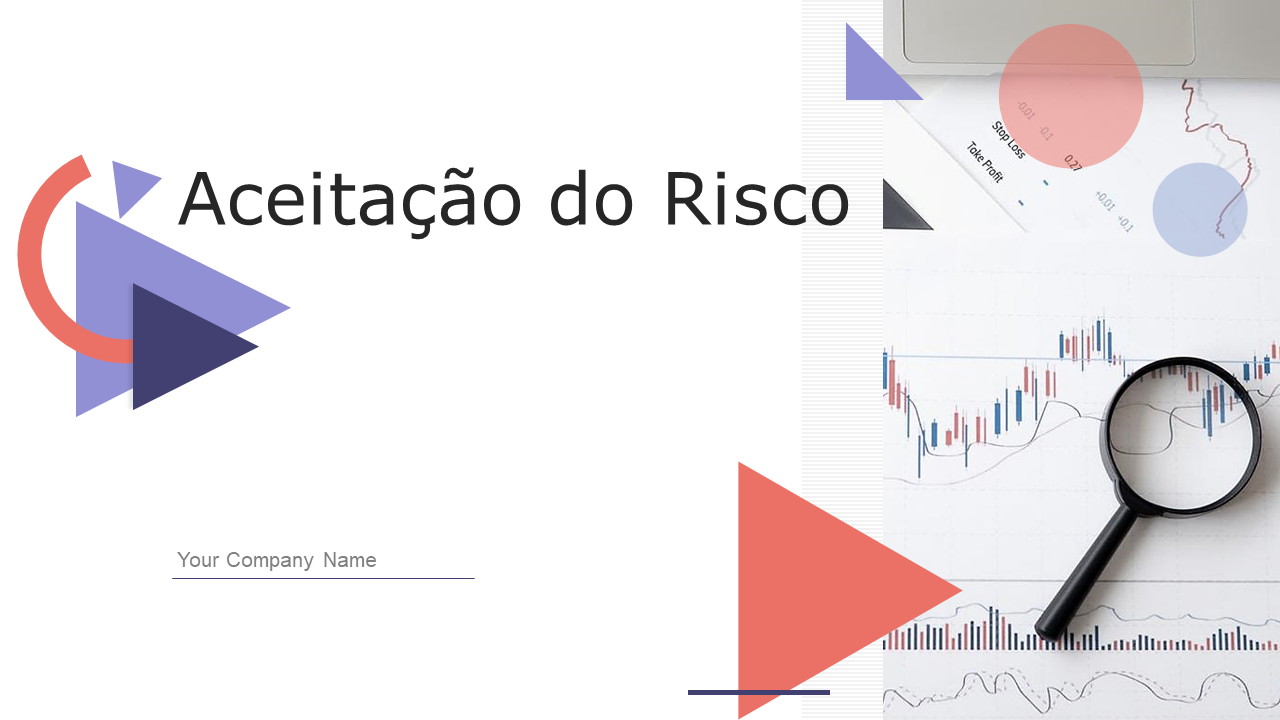 Os 10 principais modelos de aceitação de risco com exemplos e amostras