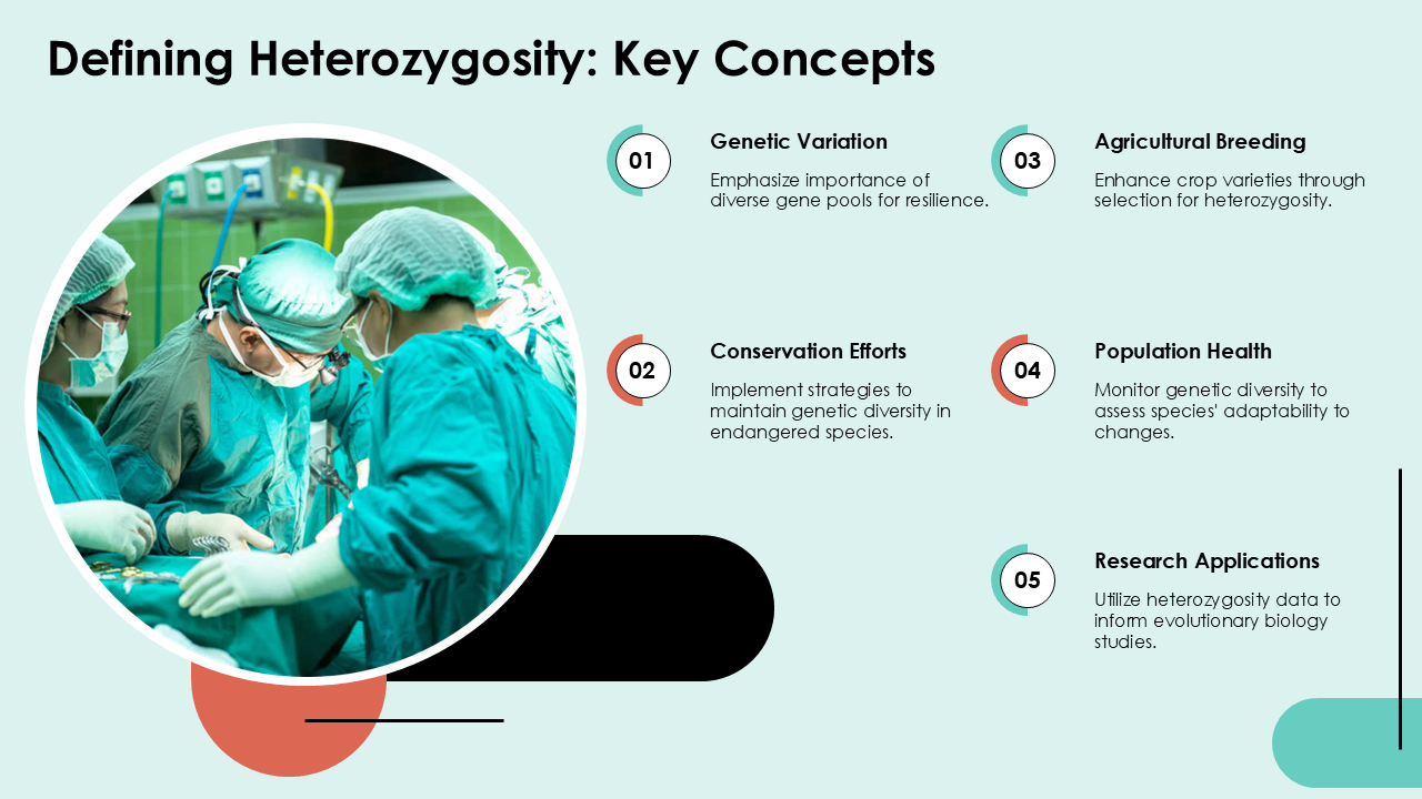 Defining Heterozygosity Key Concepts