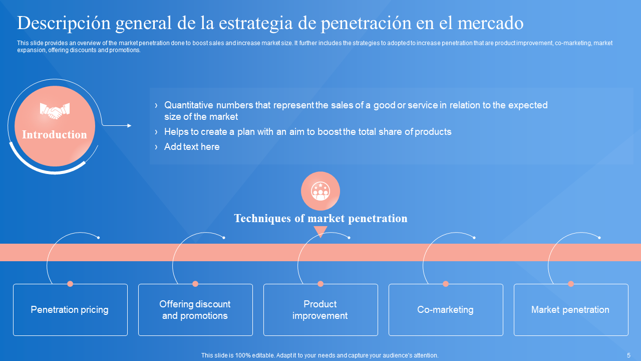 Descripci&oacute;n general de la estrategia de penetraci&oacute;n en el mercado