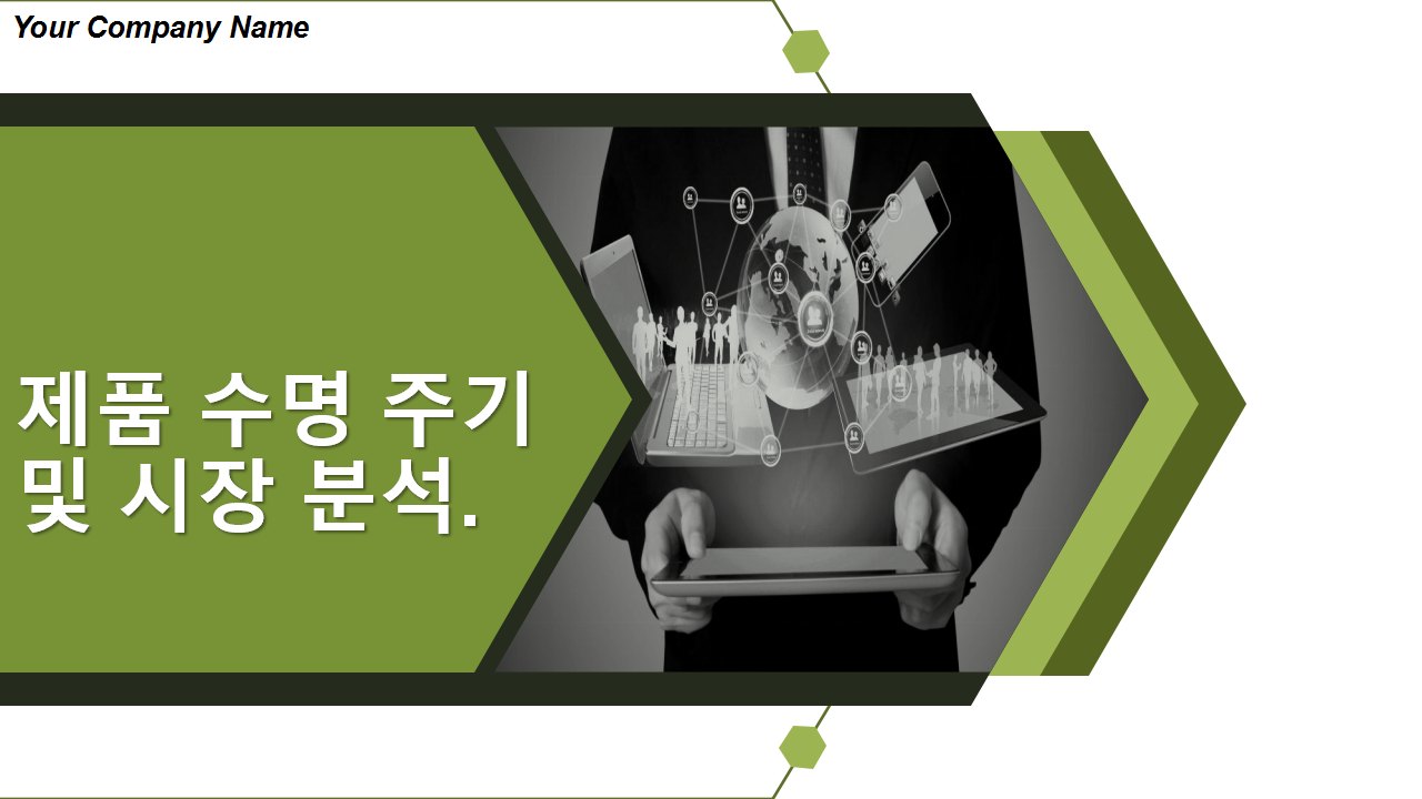 제품 수명 주기 및 시장 분석 제품 수명 주기 및 시장 분석