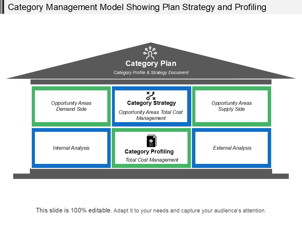 Category Management Model Showing Plan Strategy and Profiling Category Management Model Showing Plan Strategy and Profiling