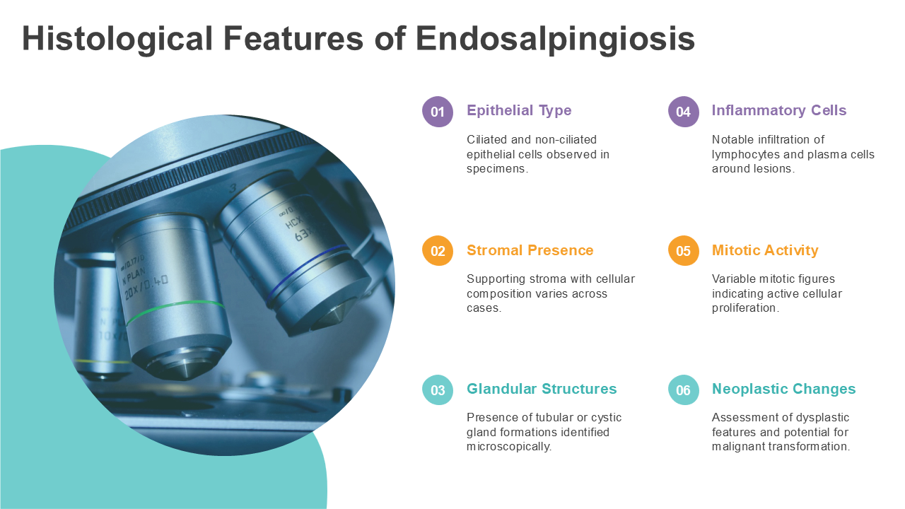Histological Features of Endosalpingiosis