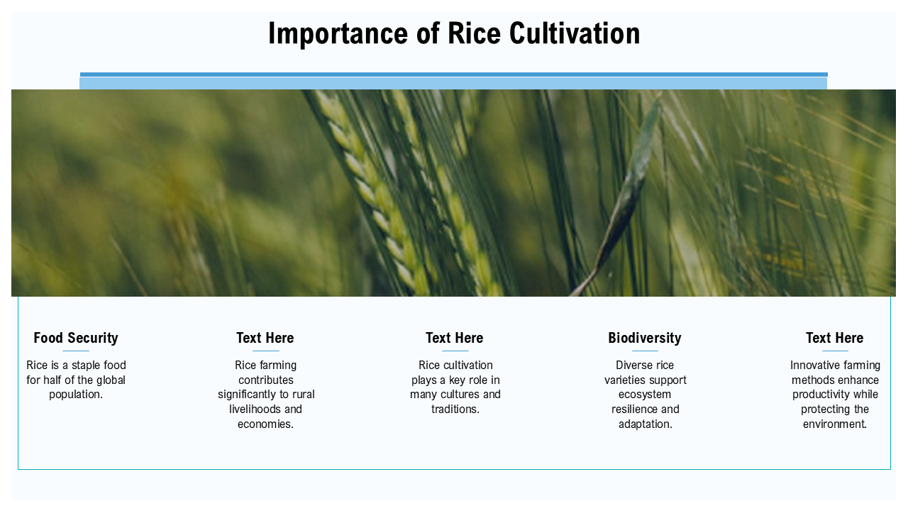 Importance of Rice Cultivation Importance of Rice Cultivation