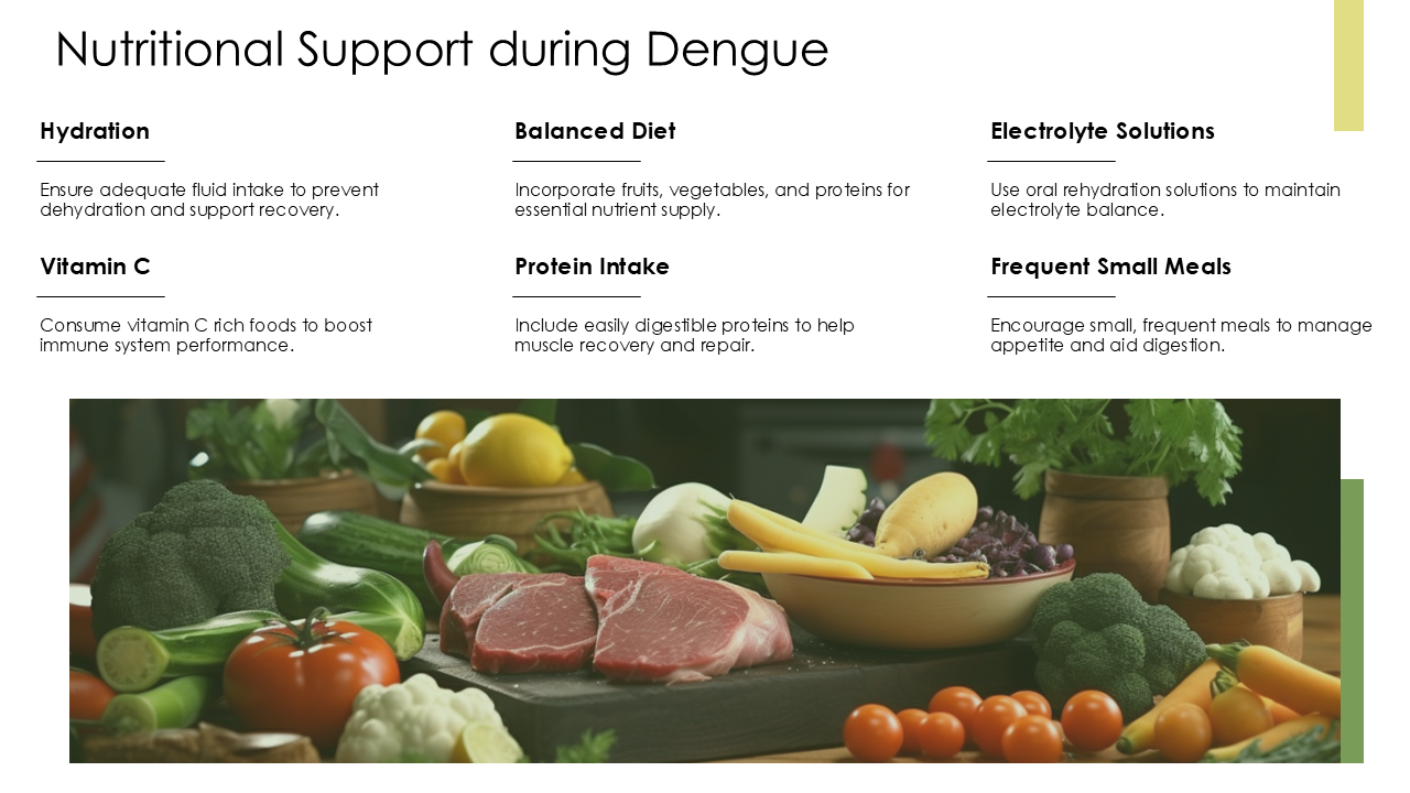 Nutritional Support during Dengue