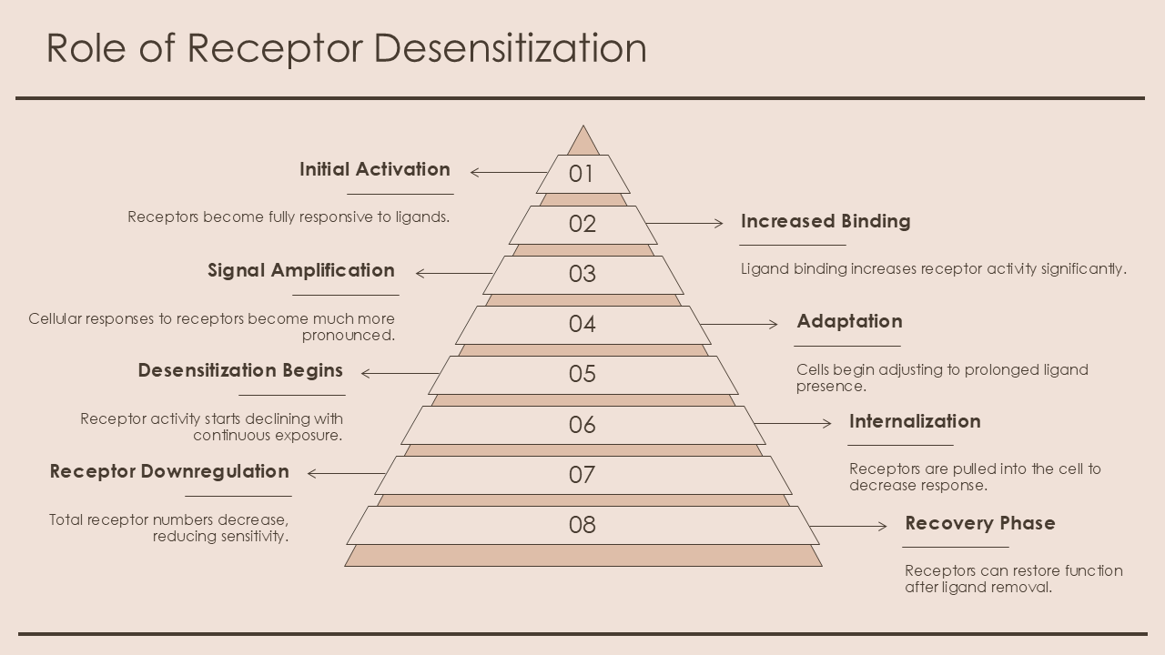 Role of Receptor Desensitization Role of Receptor Desensitization