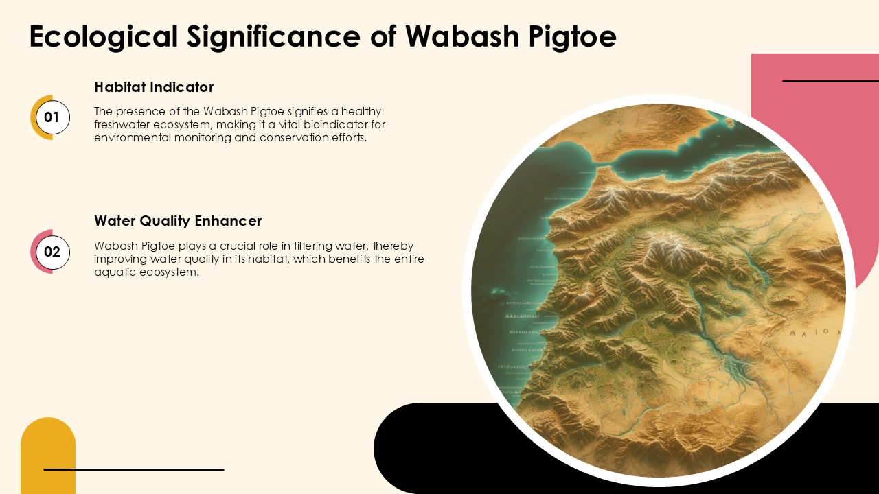 Ecological Significance of Wabash Pigtoe