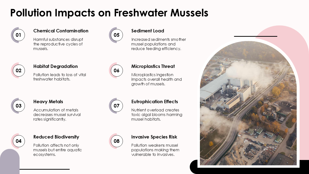 Pollution Impacts on Freshwater Mussels