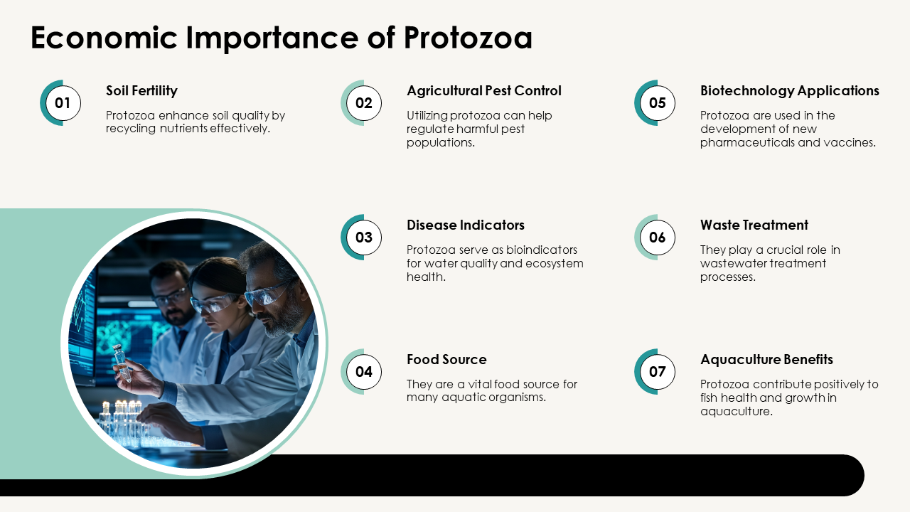 protozoa_and_nematodes_ppt_powerpoint_acp_slide_13 protozoa_and_nematodes_ppt_powerpoint_acp_slide_13