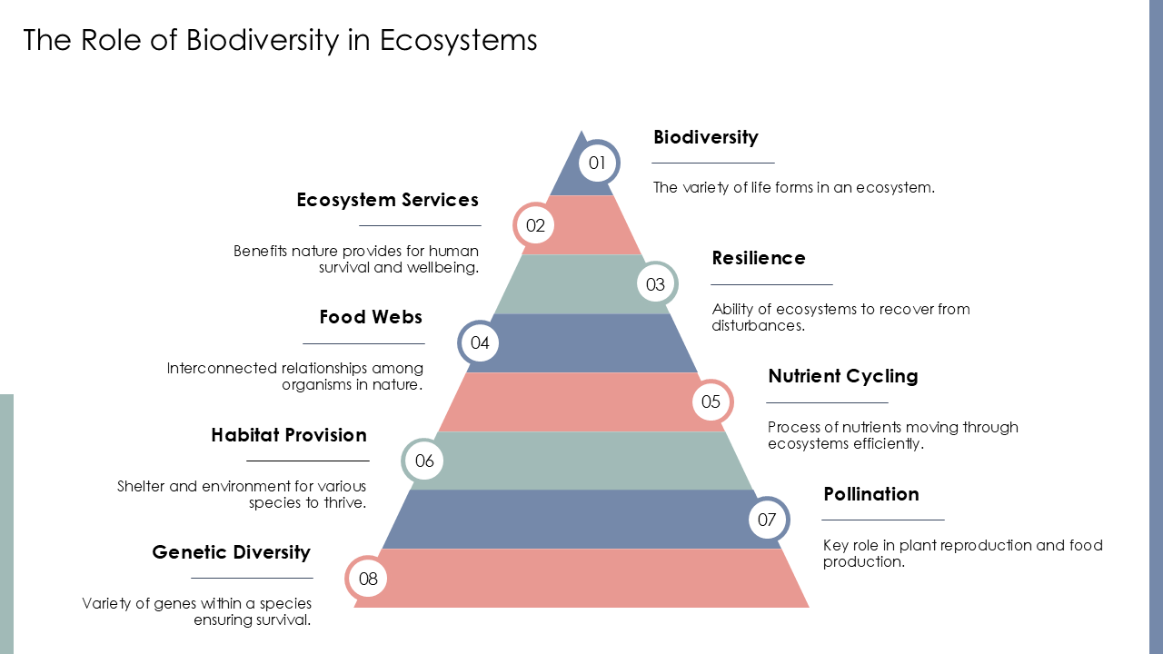 The Role of Biodiversity in Ecosystems The Role of Biodiversity in Ecosystems