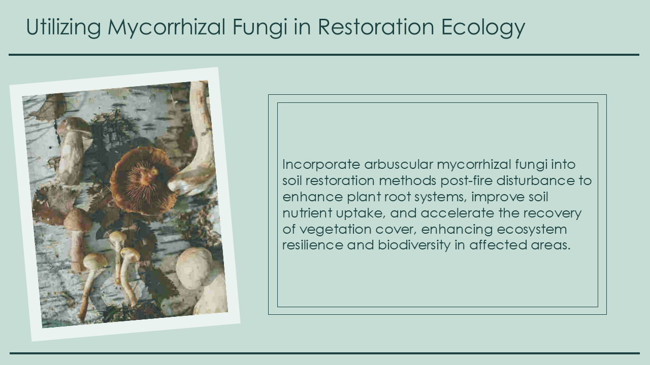 Utilizing Mycorrhizal Fungi in Restoration Ecology Utilizing Mycorrhizal Fungi in Restoration Ecology