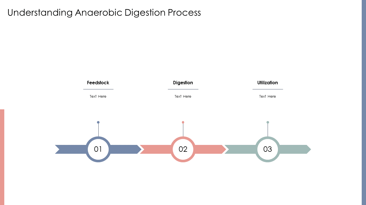 understanding anaerobic digestion process