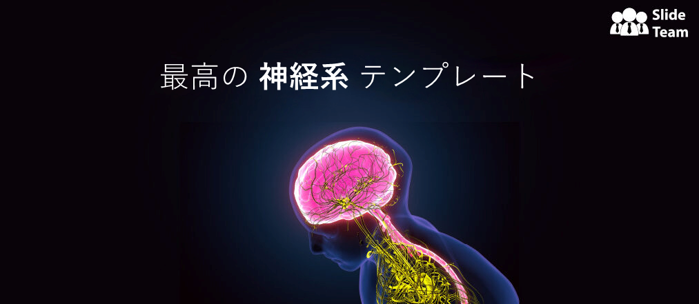 17のテンプレートで見る神経系