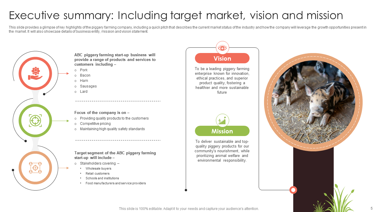 executive summary including target market vision and mission 1