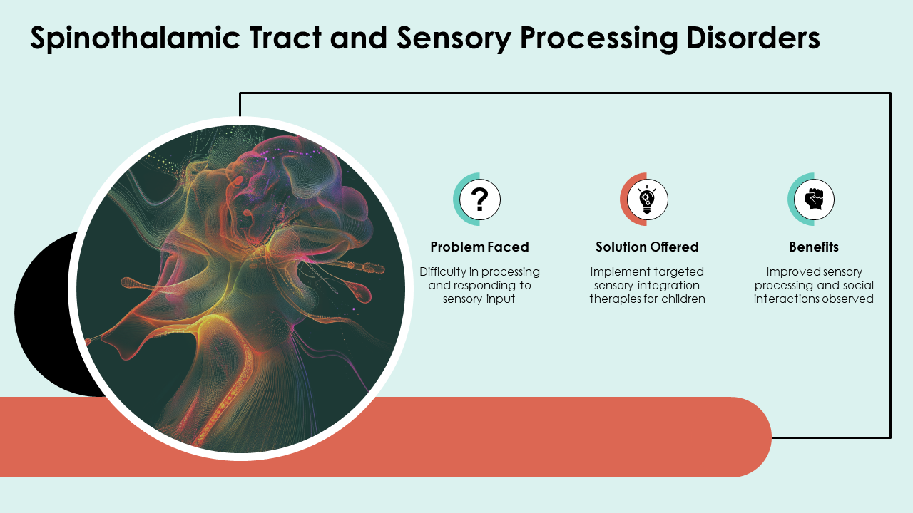 spinothalamic tract and sensory processing disorders spinothalamic tract and sensory processing disorders