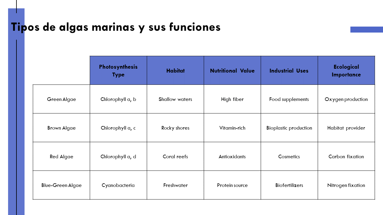 Tipos de algas marinas y sus funciones
