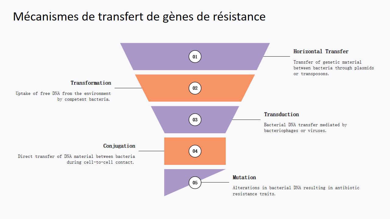 Mecanismes de transfert de genes de resistance